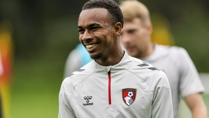Kroupi za 80 mln funtów: Bournemouth nie chce sprzedawać, Arsenal przed Tottenhamem